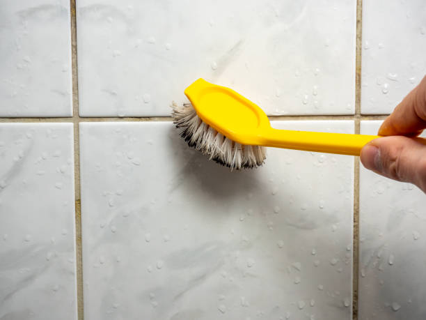 Certified Mold Removal in New Pekin, IN