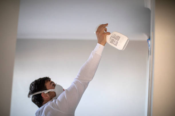 Best Attic Mold Removal  in New Pek, IN