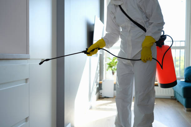 Best Office Mold Removal Services  in New Pek, IN