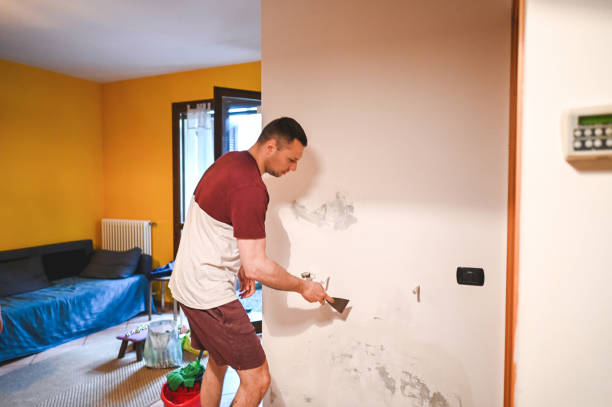 Best Mold Remediation Experts  in New Pek, IN